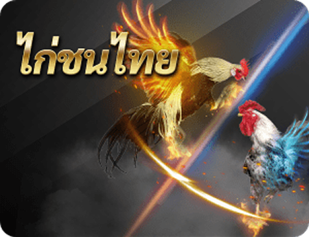 มวยพักยก R1UFA มวยไทยสด และเดิมพันบาสเกตบอล - UF24K
